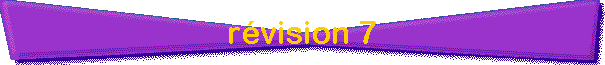 rvision 7